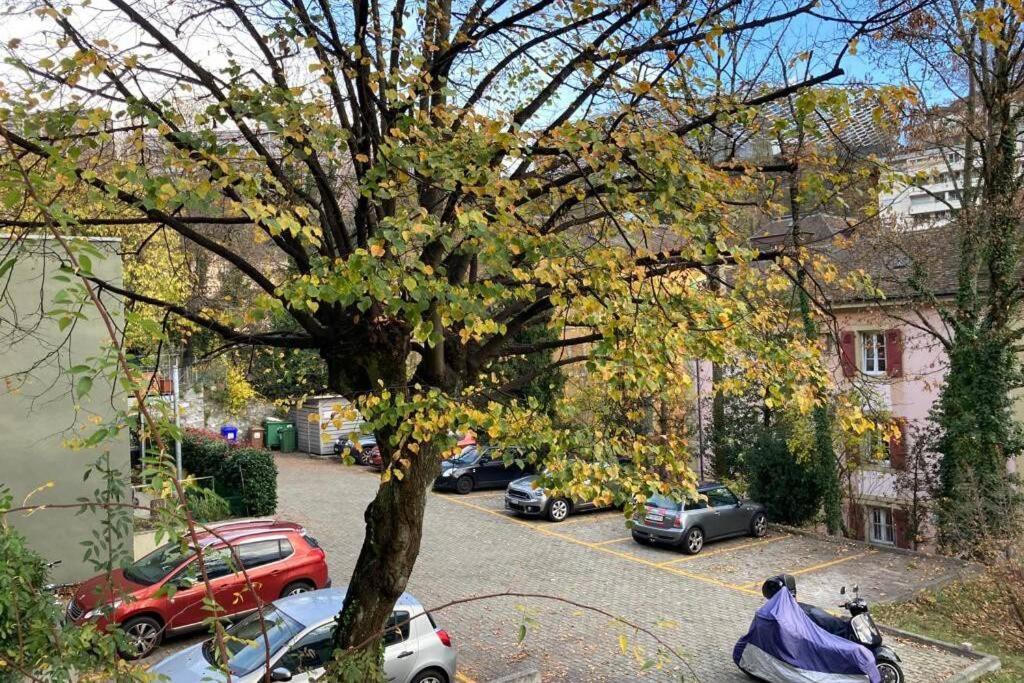Parking & Appartement 2 Pieces Sans Traffic Lausanne Exterior foto